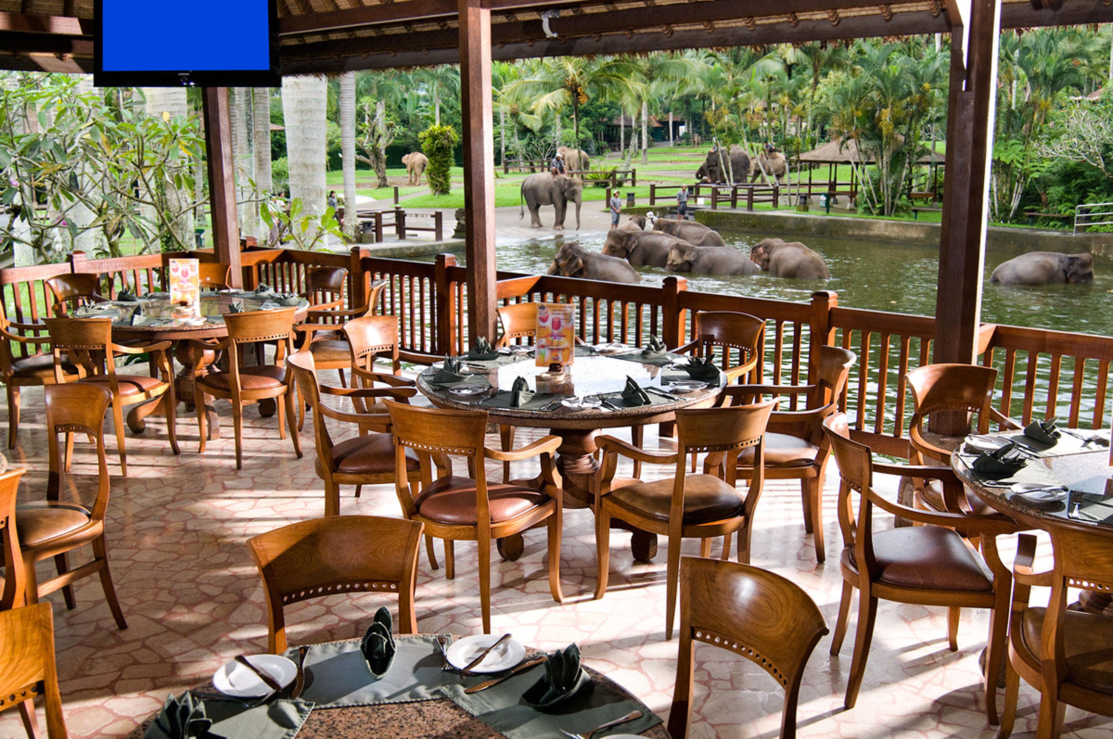Mason Elephant Lodge Ubud Exterior foto
