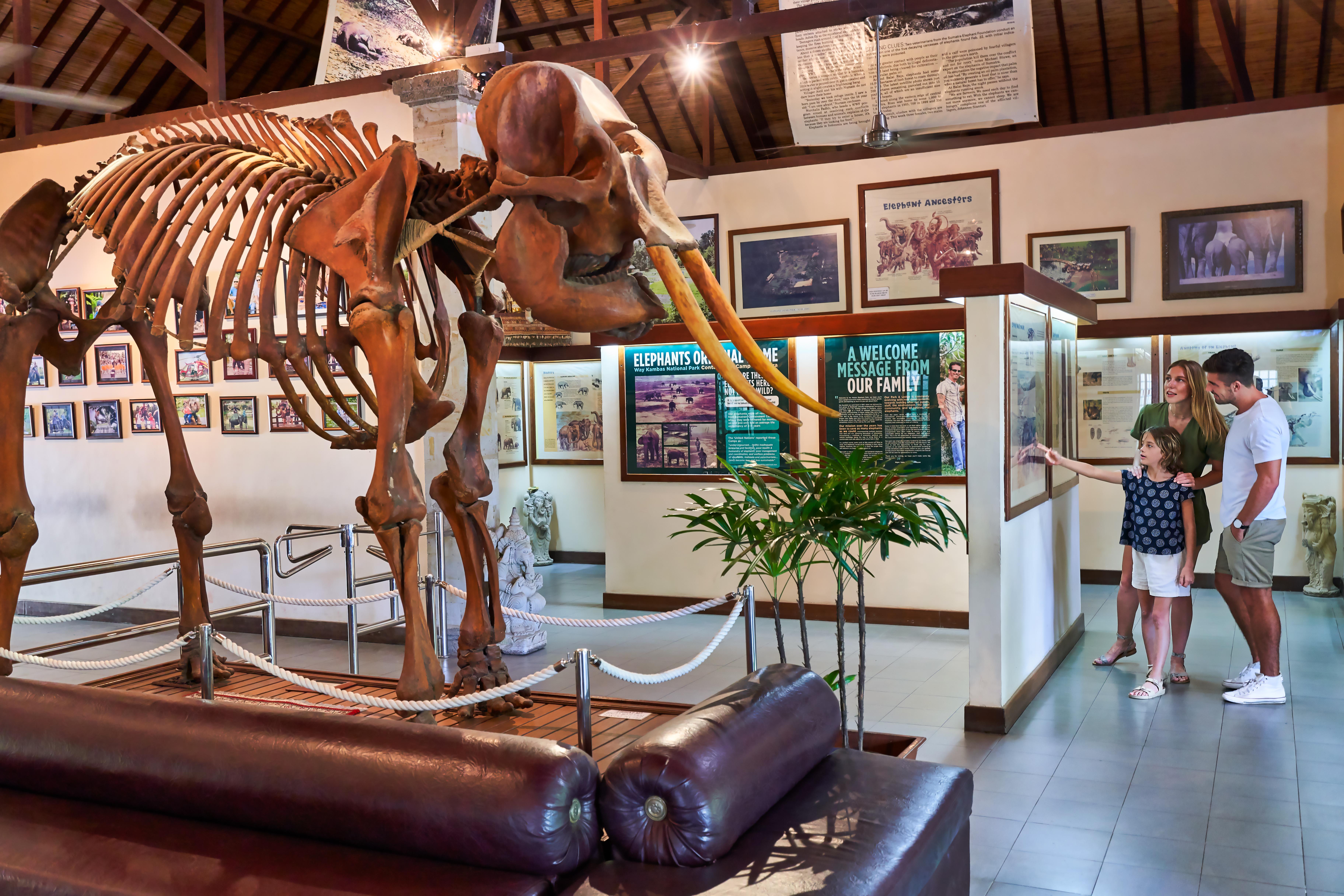 Mason Elephant Lodge Ubud Exterior foto