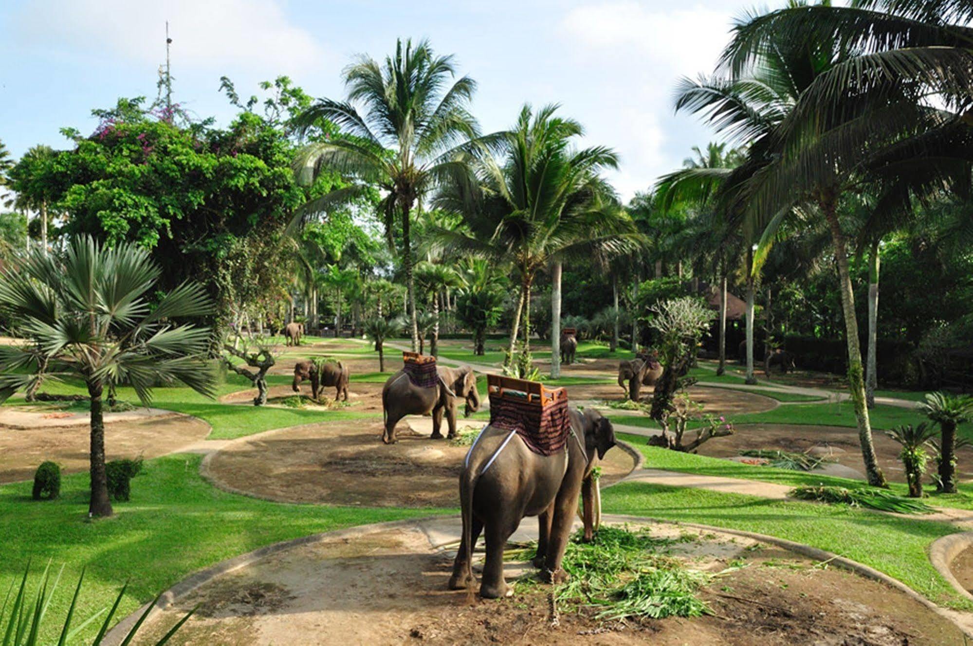 Mason Elephant Lodge Ubud Exterior foto